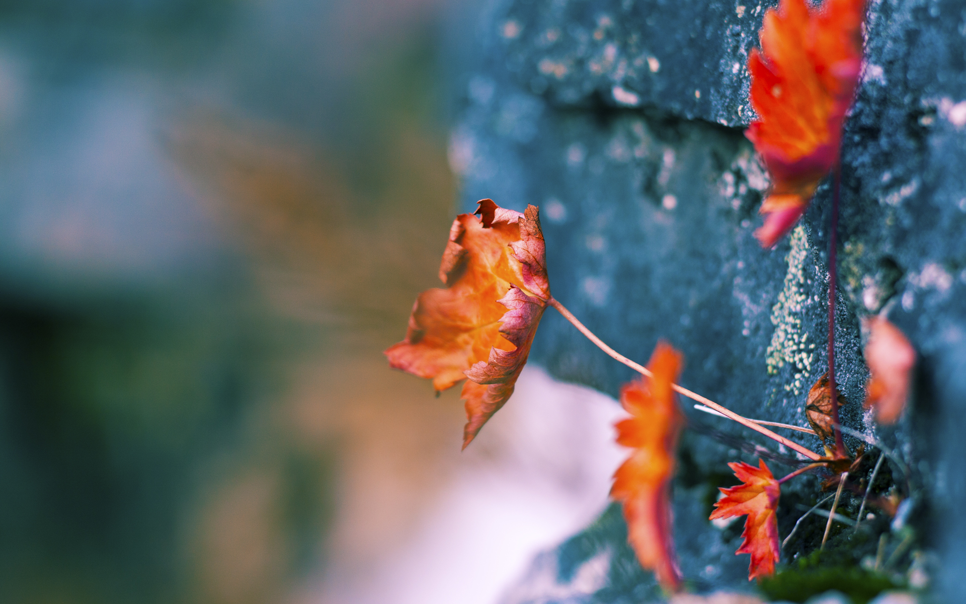 铁血意志与自我救赎，马竞力克哥斯达黎加，黄喜灿的破晓时刻